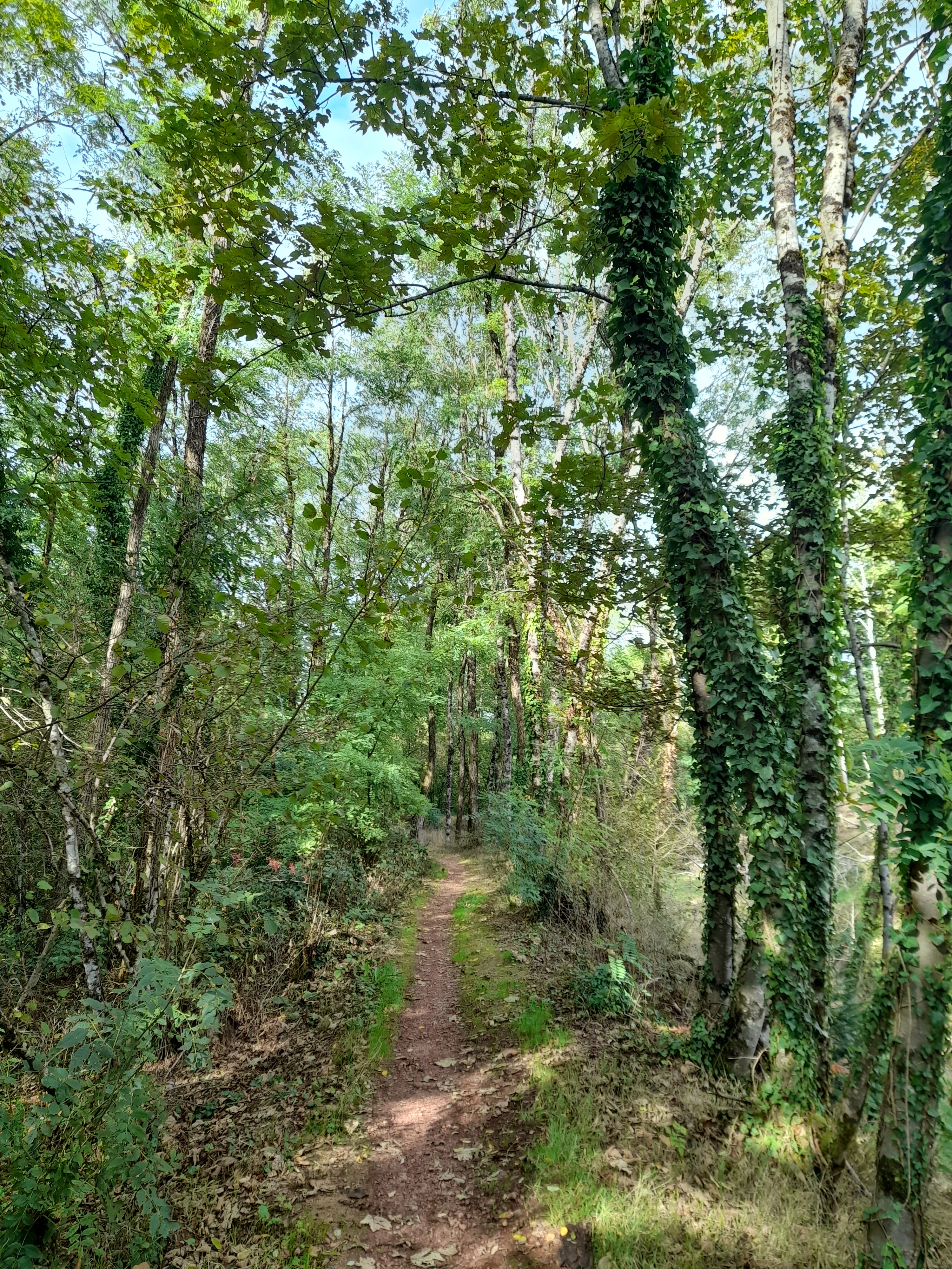 Photo n° 18 de l'avis de Graziella.i fait le 18/09/2022 à 16:12