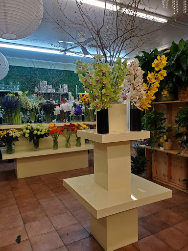 Florist «Blossom Heath Gardens», reviews and photos, 3025 Long Beach Rd, Oceanside, NY 11572, USA