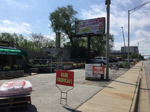Florist «Sunshine Flowers», reviews and photos, 4509 Rainbow Blvd, Kansas City, KS 66103, USA