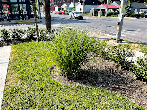 Coffee Shop «North Lime Coffee & Donuts», reviews and photos, 575 N Limestone, Lexington, KY 40508, USA