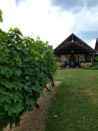 Winery «Shade Winery», reviews and photos, 401 Gilkey Ridge Rd, Shade, OH 45776, USA