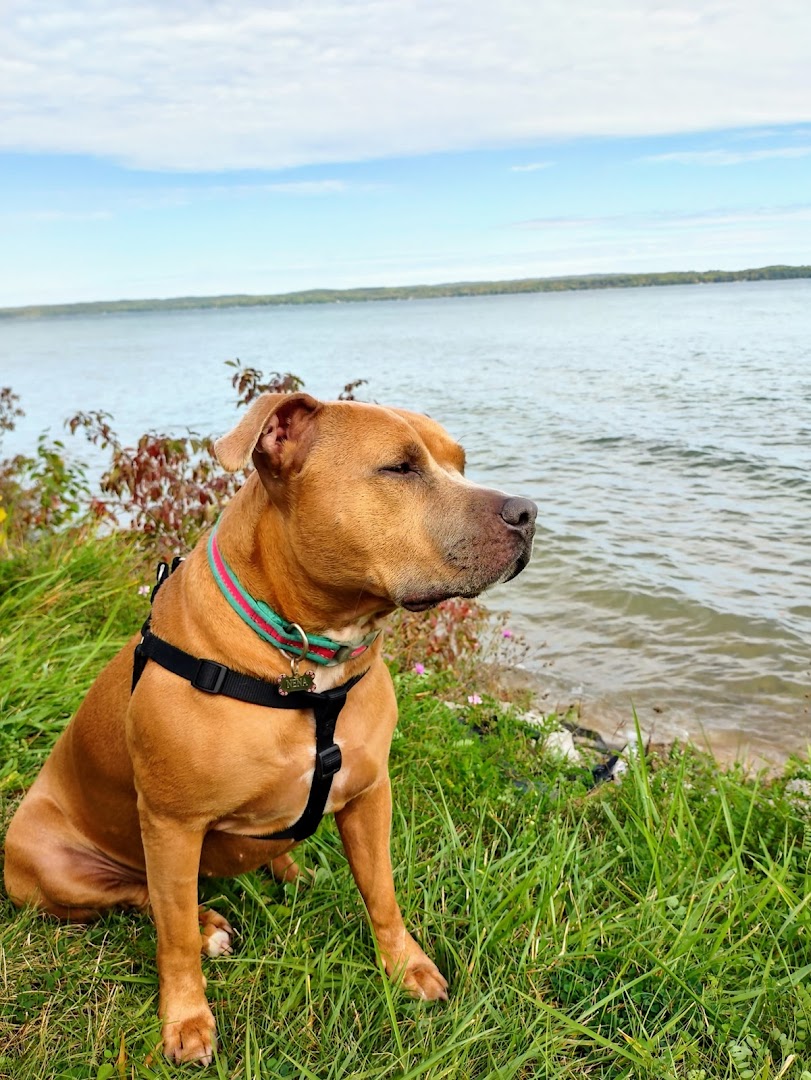 Veterinary Clinic at the Humane Society of Huron Valley