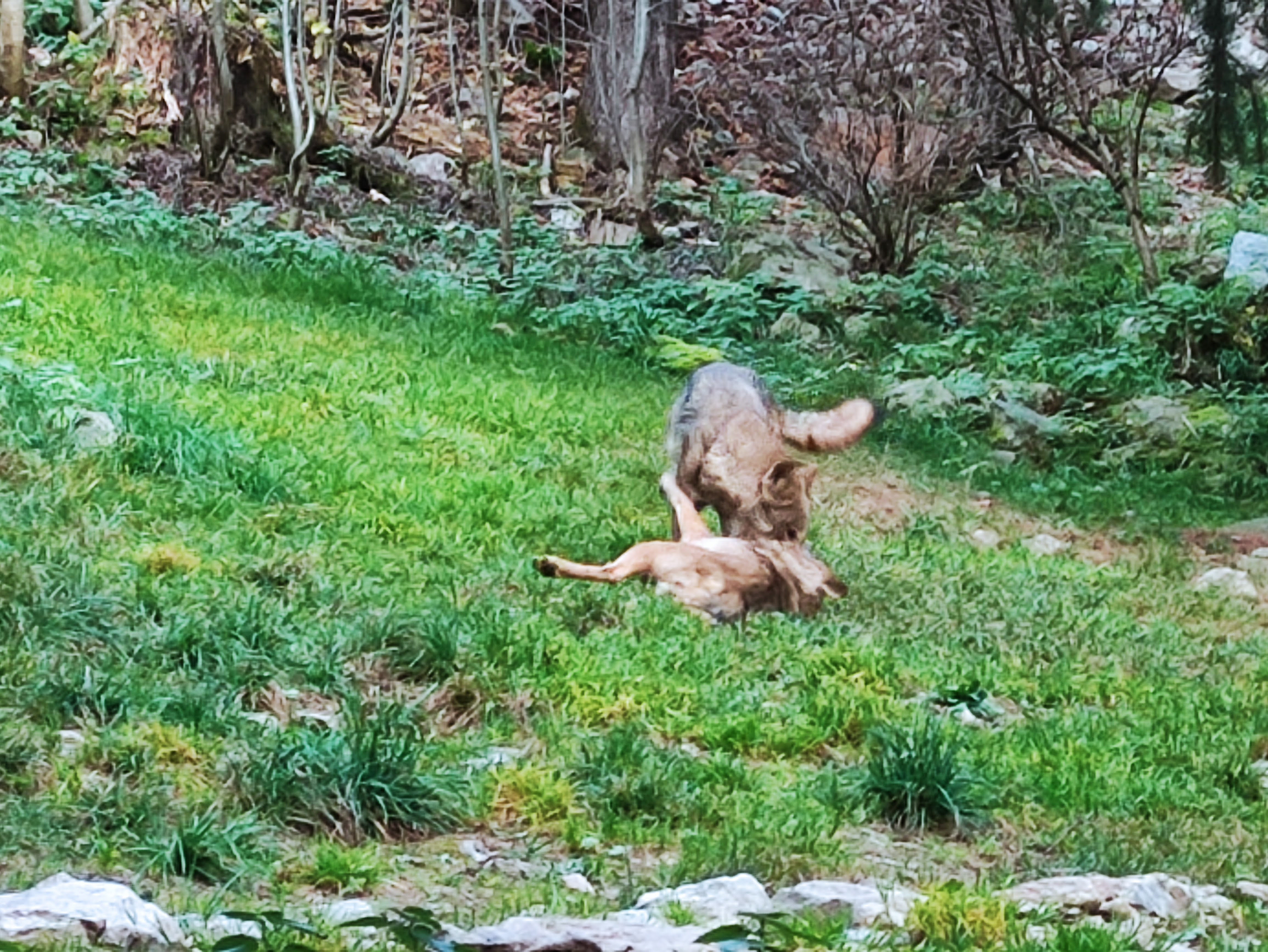 Photo n° 1 de l'avis de Alexandre.A fait le 17/11/2022 à 20:58