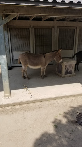 Zoo «Potter Park Zoo», reviews and photos, 1301 S Pennsylvania Ave, Lansing, MI 48912, USA