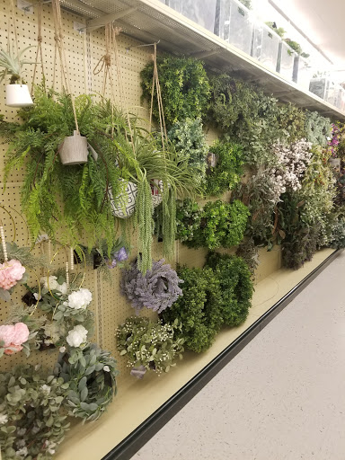 Craft Store «Hobby Lobby», reviews and photos, 43075 Crescent Blvd, Novi, MI 48375, USA