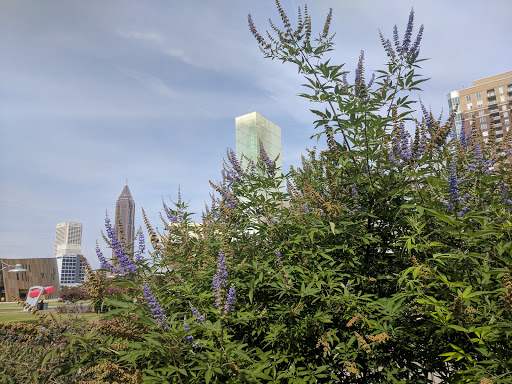 Tourist Attraction «Pemberton Place», reviews and photos, 126 Ivan Allen Jr Blvd NW, Atlanta, GA 30308, USA