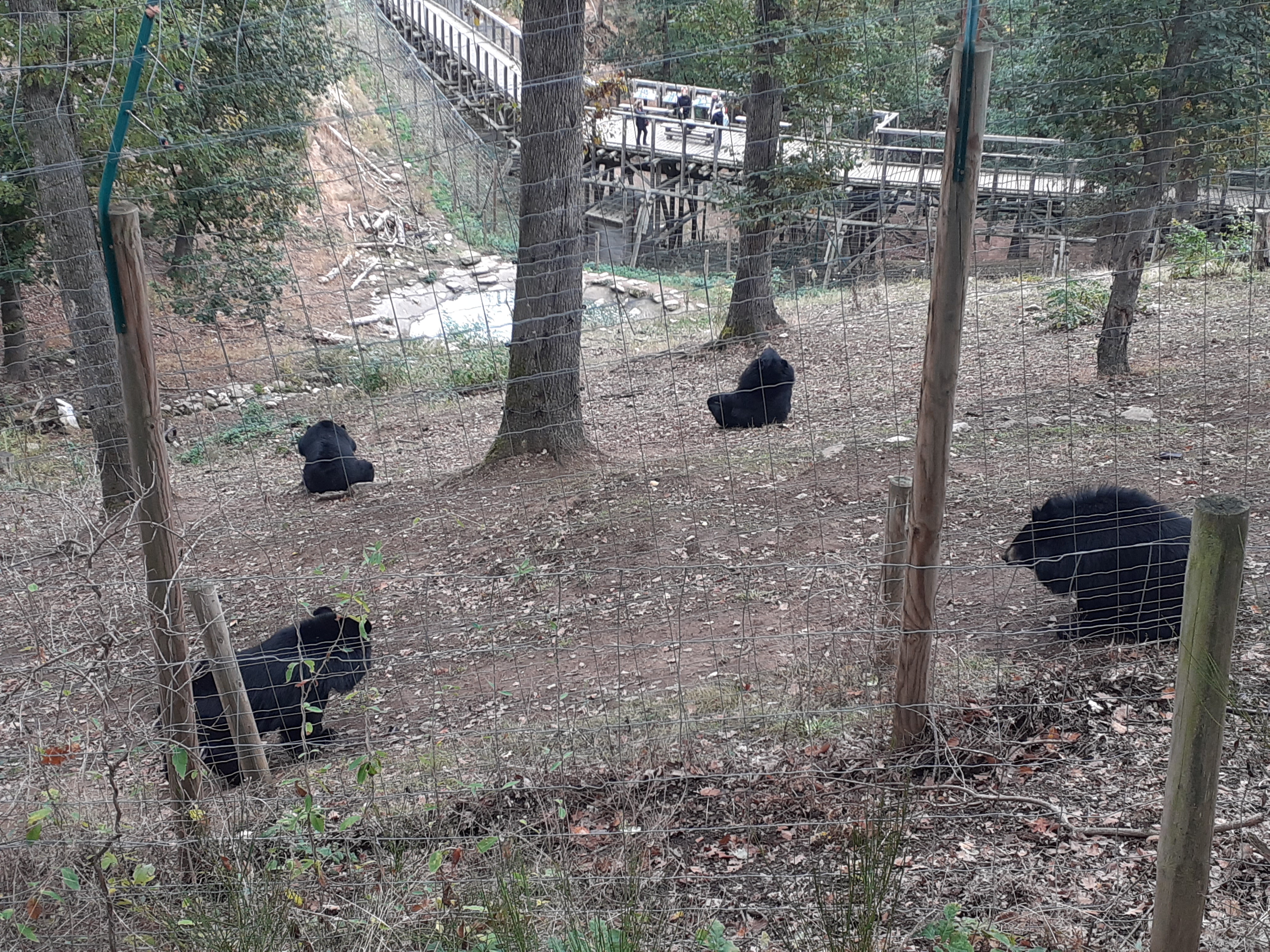 Photo n° 7 de l'avis de Carla.c fait le 28/10/2023 à 20:47
