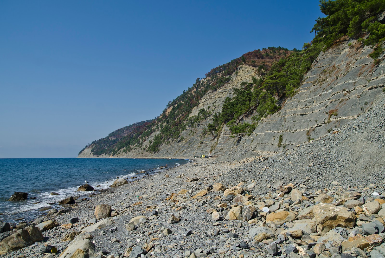 Photo de Dikiy Plyazh avec plage sans baie