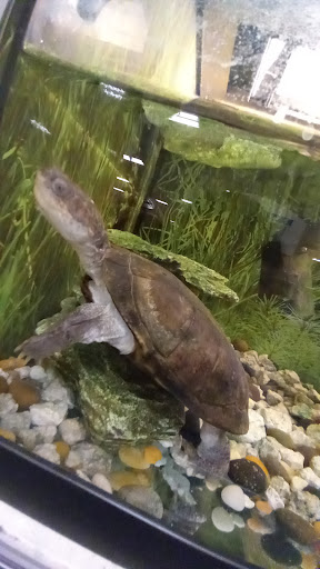 Pet Supply Store «PetSmart», reviews and photos, 5050 SE 14th St, Des Moines, IA 50320, USA