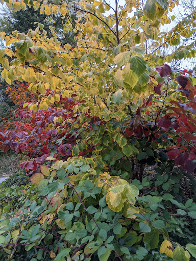 Golf Course «Wayne Public Golf Course», reviews and photos, 16721 96th Ave NE, Bothell, WA 98011, USA