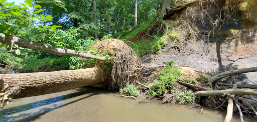 Nature Preserve «Big Brook Preserve», reviews and photos, 95 Hillsdale Rd, Colts Neck, NJ 07722, USA