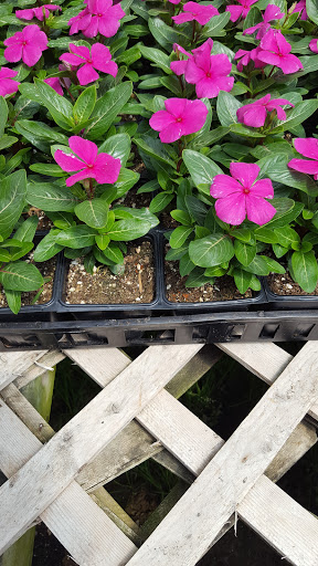 Landscaper «Landscape Source», reviews and photos, 167 Ole W Ln, Rockwall, TX 75087, USA