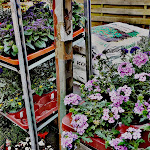 Photo n°8 de l'avis de Frank.. fait le 06/05/2018 à 16:52 sur le  Hofcafé Berlin und Feine Kost bei Mutter Fourage à Berlin