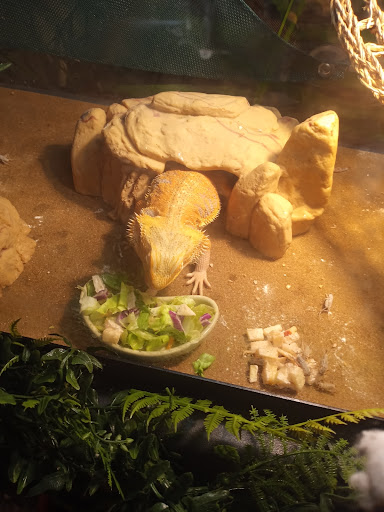 Pet Supply Store «Petco Animal Supplies», reviews and photos, 8164 Mall Pkwy, Lithonia, GA 30038, USA