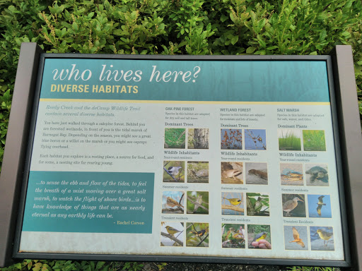 Nature Preserve «Edwin B. Forsythe National Wildlife Refuge- deCamp Wildlife Trail», reviews and photos, 365 Mantoloking Rd, Brick, NJ 08723, USA