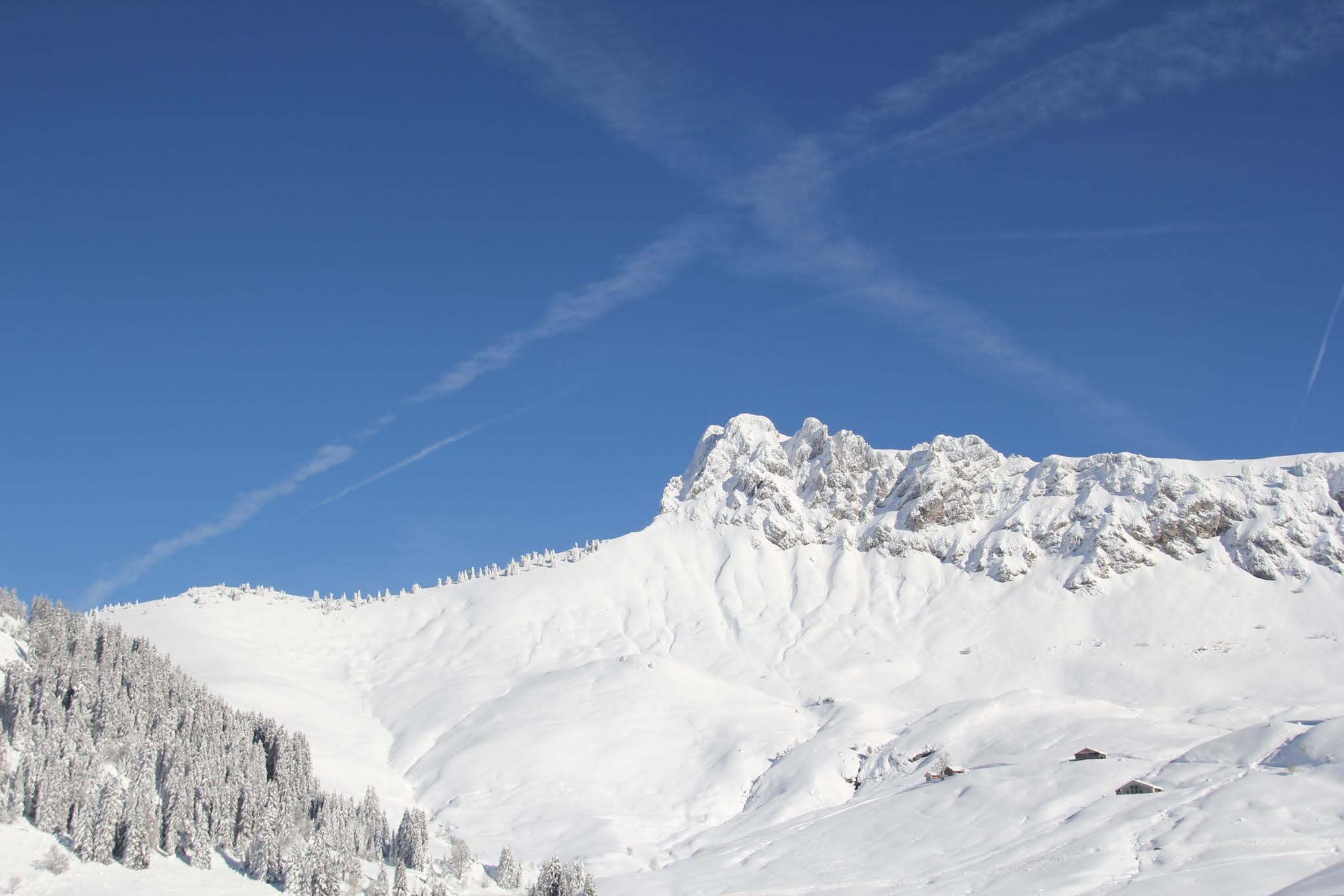 Photo n° 2 de l'avis de Damien.u fait le 06/02/2019 à 08:53