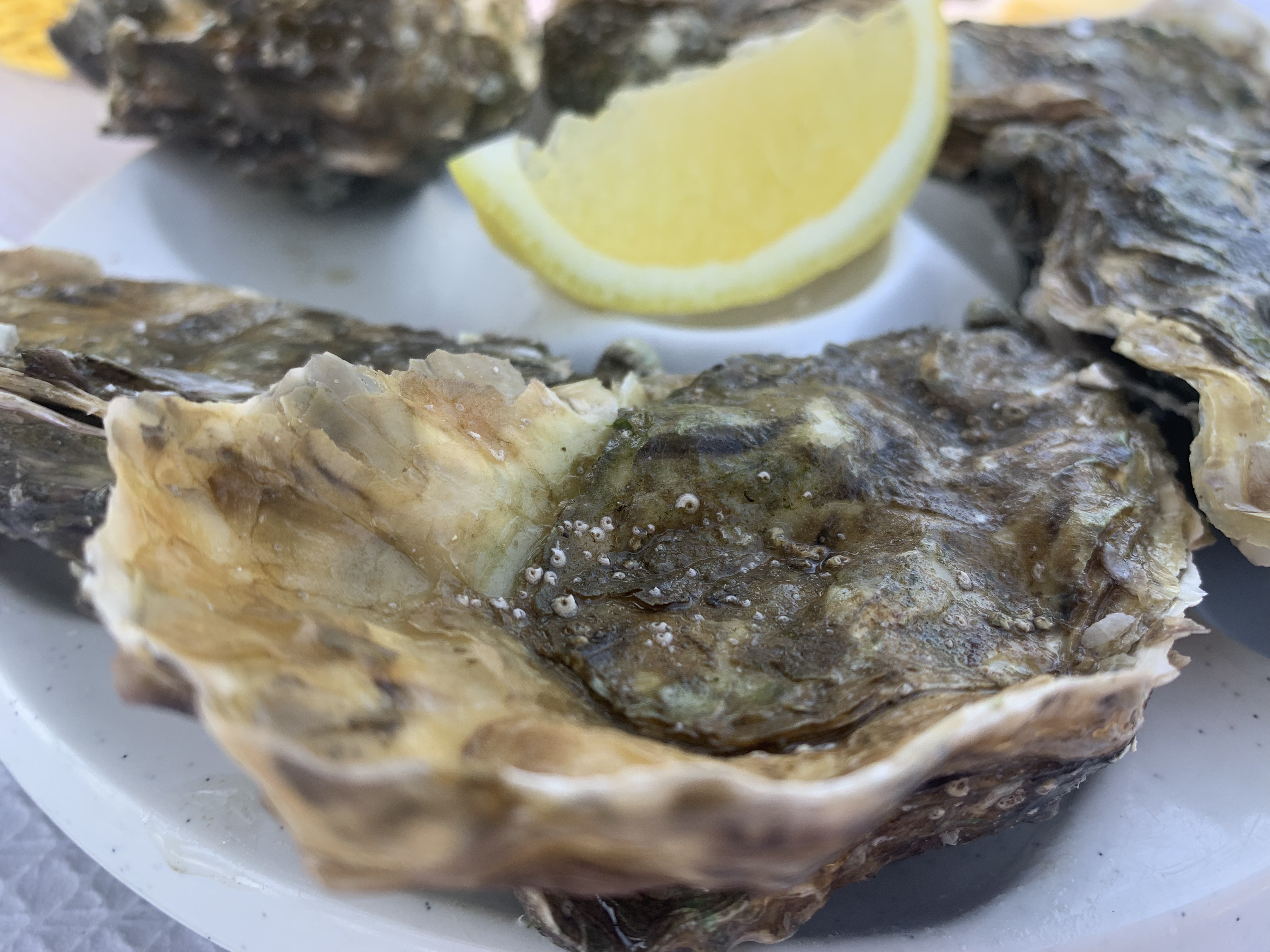 Photo n° 1 de l'avis de Frédérique.r fait le 25/06/2023 à 19:23