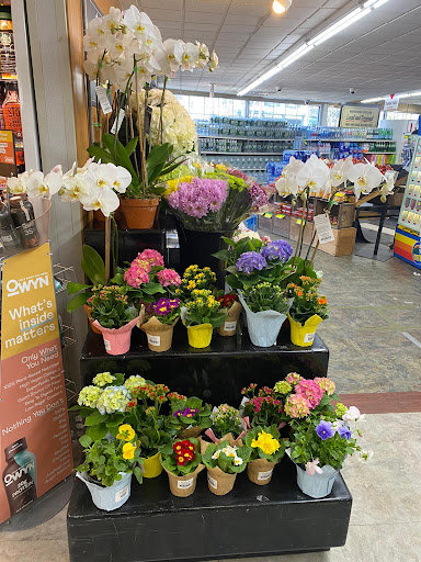 Supermarket «East Hampton Iga», reviews and photos, 92 N Main St, East Hampton, NY 11937, USA