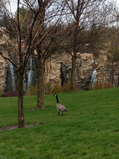 Tourist Attraction «Waterfall Ampitheatre At Thanksgiving Point», reviews and photos, 3900 Garden Dr, Lehi, UT 84043, USA