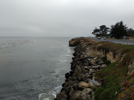 Bicycle Repair Shop «Bicycle Trip», reviews and photos, 1001 Soquel Ave, Santa Cruz, CA 95062, USA