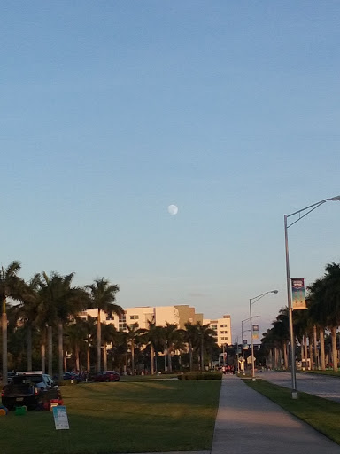 Stadium «FAU Stadium», reviews and photos, 777 Glades Road, Boca Raton, FL 33431, USA