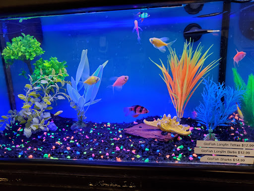 Pet Store «Harrison Pet Center», reviews and photos, 10517 Harrison Ave, Harrison, OH 45030, USA