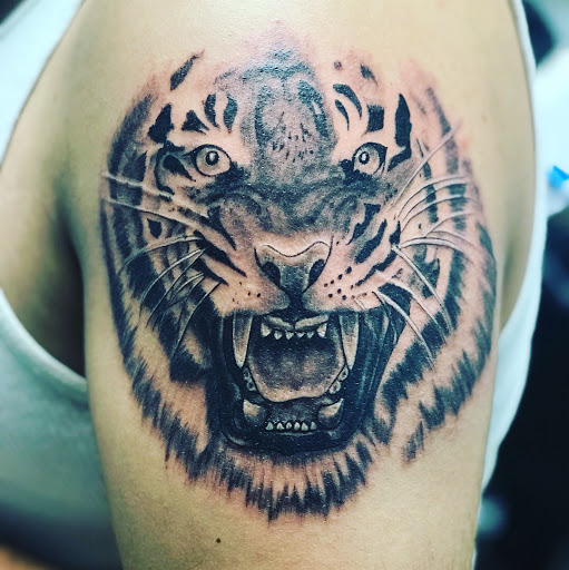 Explore shaded sleeve tattoo ideas, creative tattoo ideas in Amarillo, available at Tattoo Spa LLC