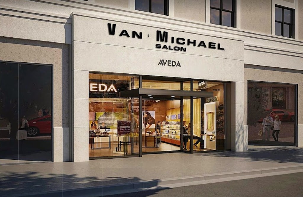Van Michael Salon 30009