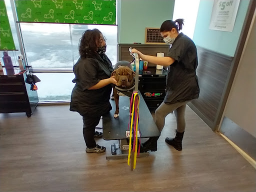 Pet Supply Store «PetSmart», reviews and photos, 2101 Elmwood Ave, Buffalo, NY 14207, USA