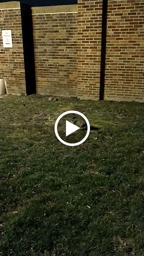 Park «Chicago Park District», reviews and photos, 5505 W Berteau Ave, Chicago, IL 60641, USA