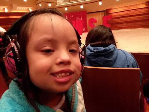 Concert Hall «Wentz Concert Hall», reviews and photos, 171 E Chicago Ave, Naperville, IL 60540, USA