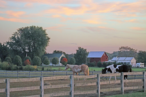 Farm «Painted Sky Alpaca Farm & Fiber Mill», reviews and photos, 95 Knight House Ln, Earleville, MD 21919, USA