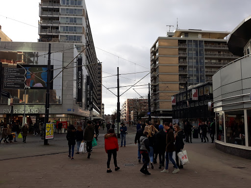 Winkels om catrina-hoofdbanden te kopen Rotterdam