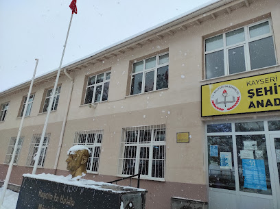 Şehit Tarık Koçoğlu Anadolu Lisesi