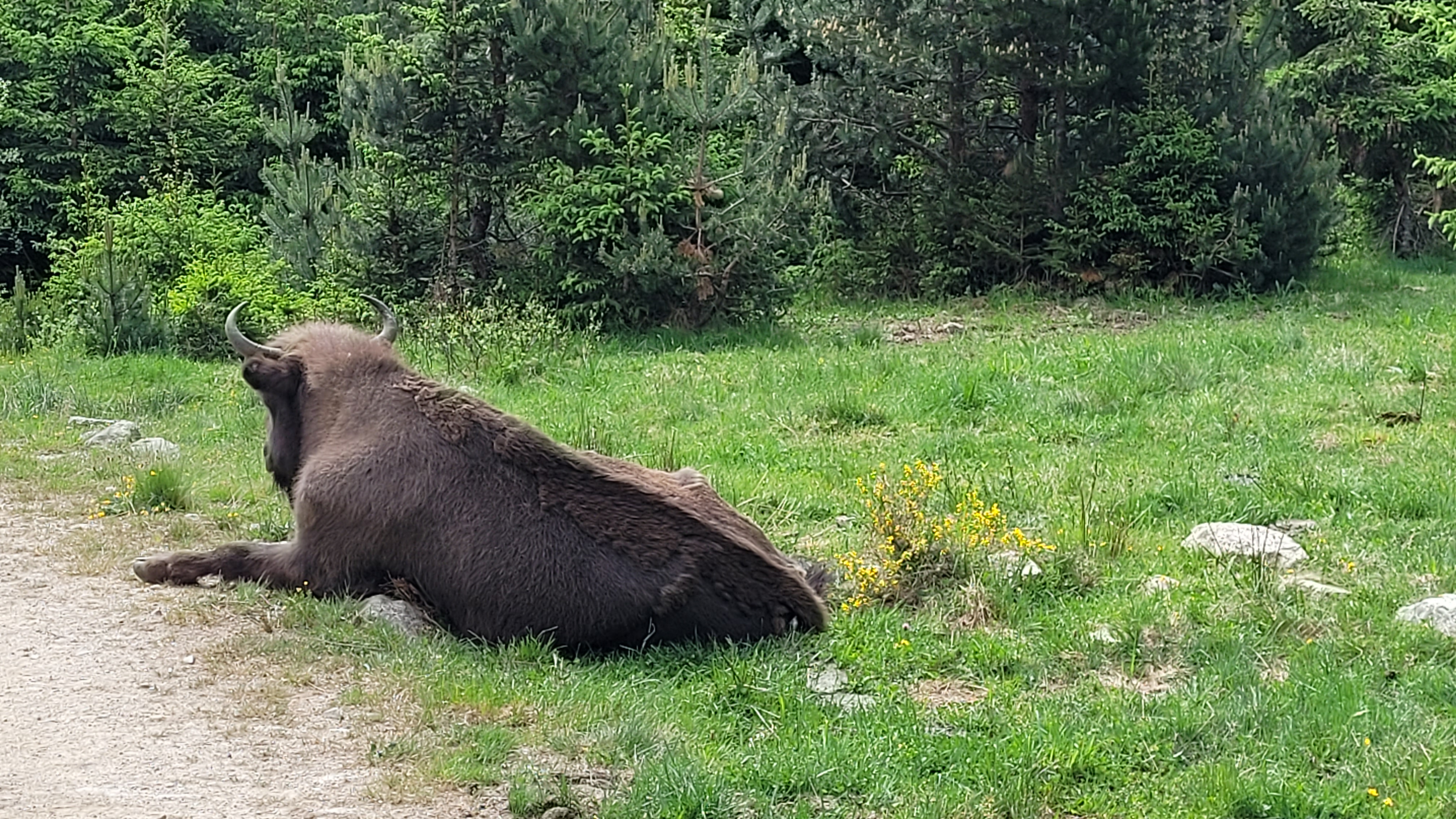 Photo n° 3 de l'avis de Véronique.o fait le 02/06/2022 à 12:45