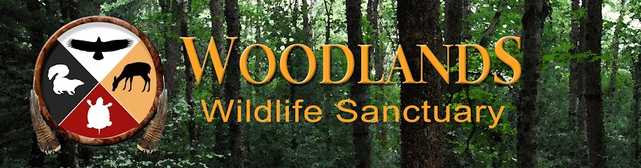 Woodlands Wildlife Sanctuary