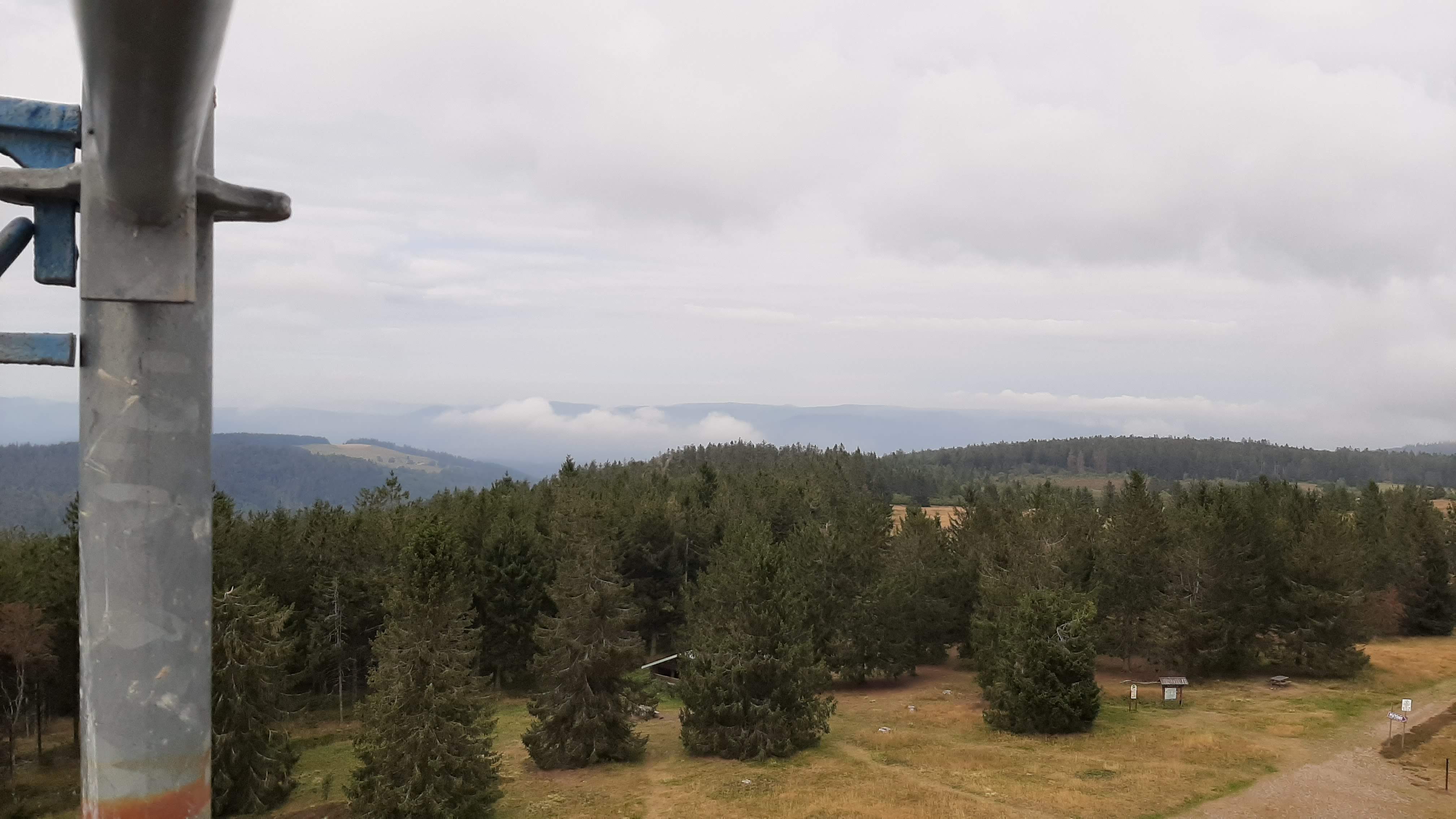 Photo n° 30 de l'avis de Raymond.e fait le 14/09/2020 à 14:20