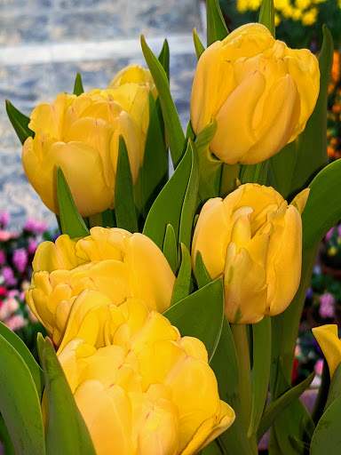 Art Museum «George Eastman Museum», reviews and photos, 900 East Ave, Rochester, NY 14607, USA