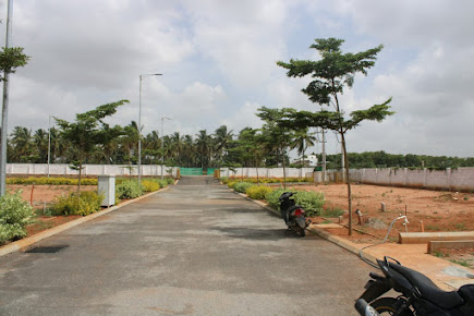 Google Maps image 20