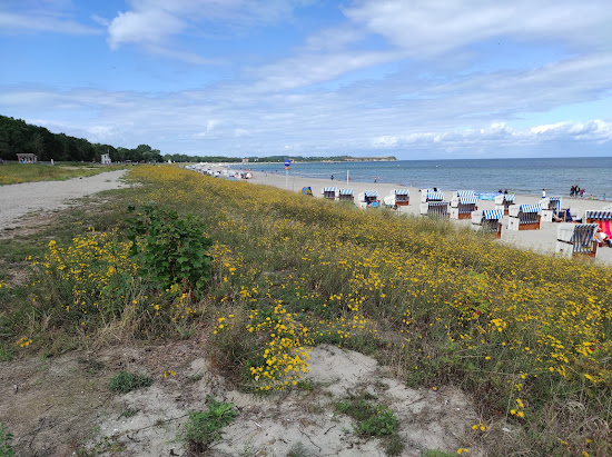Boltenhagen Strand