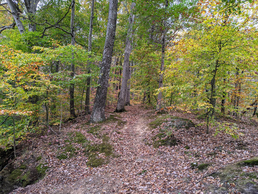 Nature Preserve «Fern Cliff Nature Preserve», reviews and photos, W County Rd 375 S, Greencastle, IN 46135, USA