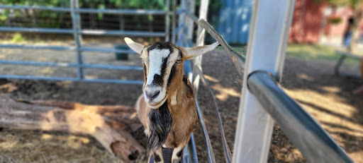 Farm «B & B Flower Farm», reviews and photos, 668 Jones Hill Rd, West Haven, CT 06516, USA