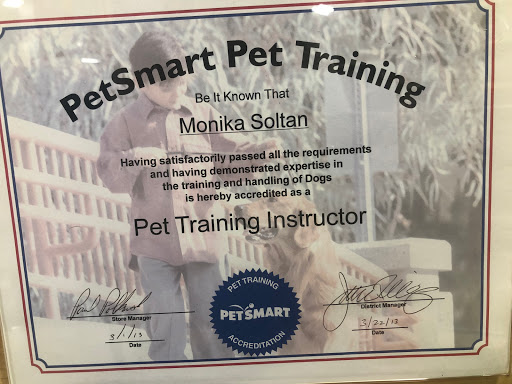 Pet Supply Store «Petco Animal Supplies», reviews and photos, 1209 New Brunswick Ave, Phillipsburg, NJ 08865, USA