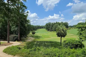 Palmetto Golf Club image