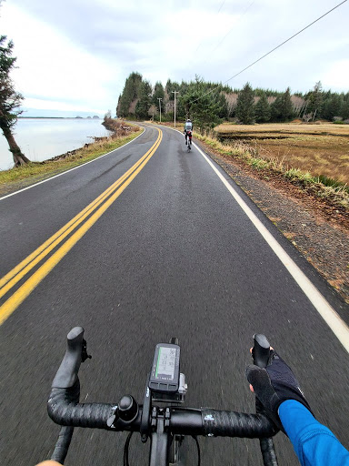 Bicycle Store «Bike Gallery - Beaverton», reviews and photos, 12345 SW Canyon Rd, Beaverton, OR 97005, USA