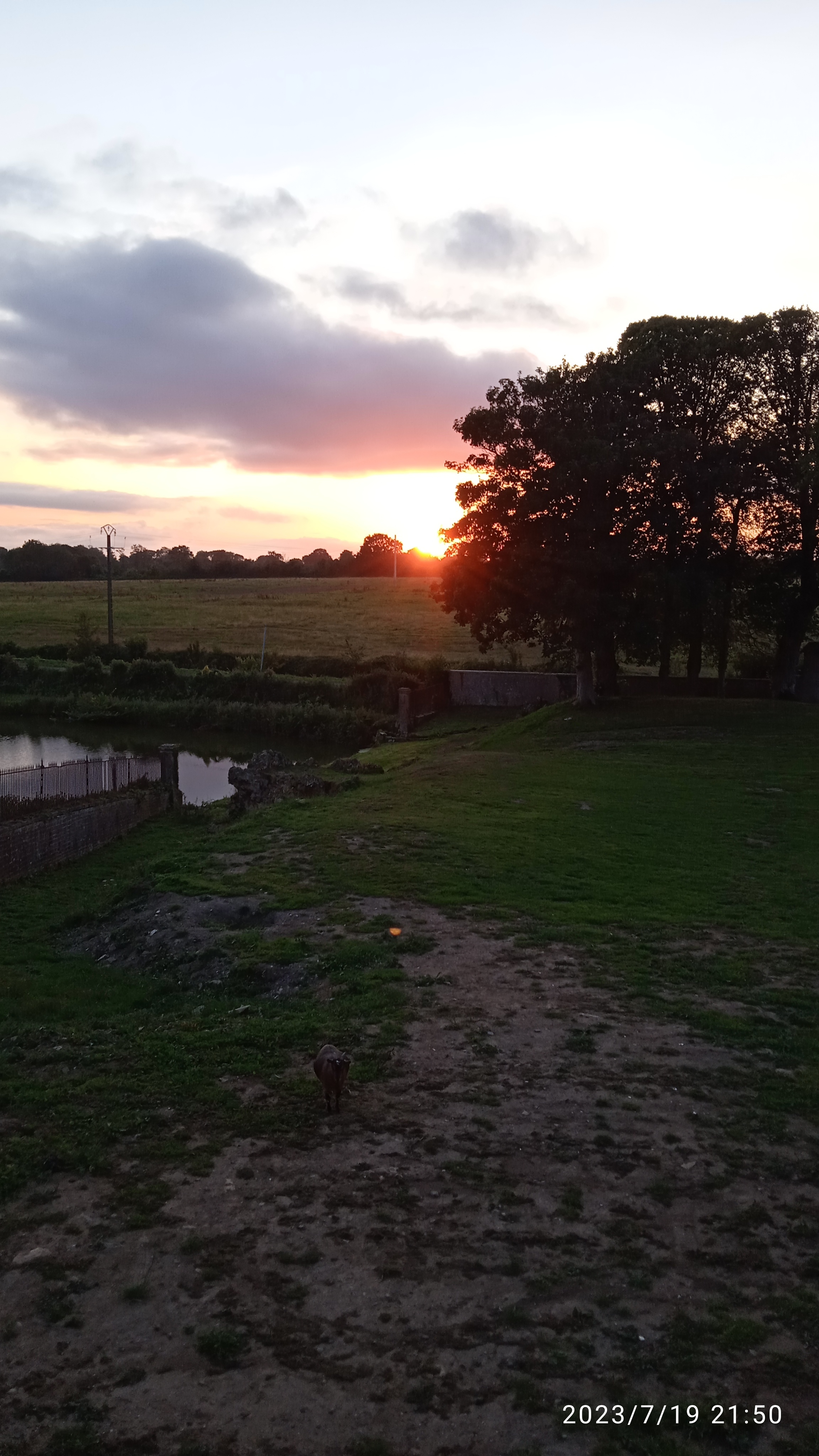 Photo n° 9 de l'avis de Patricia. fait le 26/10/2023 à 19:02