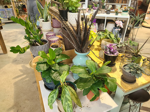 Garden Center «Victoria Gardens», reviews and photos, 1 Cottekill Rd, Rosendale, NY 12472, USA