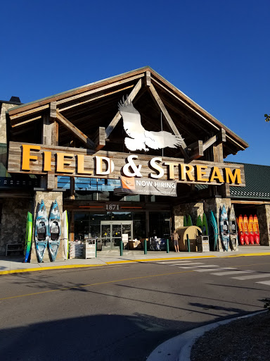 Outdoor Sports Store «Field & Stream», reviews and photos, 800 Brevard Rd #901, Asheville, NC 28806, USA