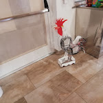 Photo n°3 de l'avis de Willy.. fait le 03/08/2019 à 16:38 sur le  Trattoria Rosticceria al Gallo à Precenicco