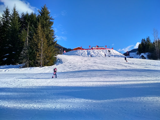 Parking Lot 6, 4890 Glacier Dr, Whistler, BC V0N 1B4, Canada, 